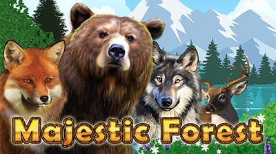 Majestic Forest